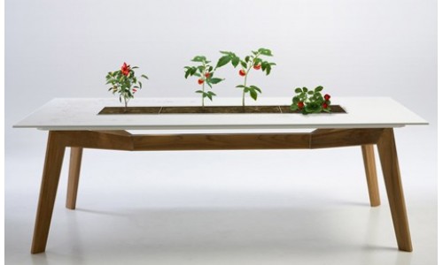 Rosis - умный садовый стол