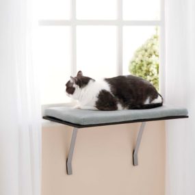25 штук кошачей мебели для вашего дома Стильный