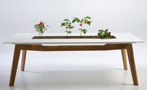 escho table rosis 2 Открытый стол Роз из Escho позволяет выращивать цветы и растения