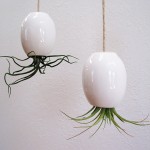 Блестящие белые керамические горшки с комнатными растениями