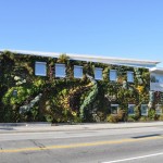 Вертикальное озеленение фасадов зданий
