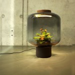Настольная лампа с живыми цветами