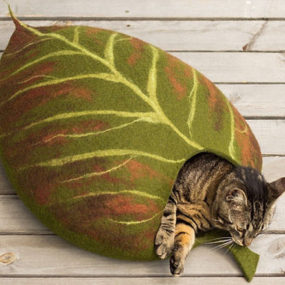 Шикарные и Cozy Cat Кровати: 20 современных идей