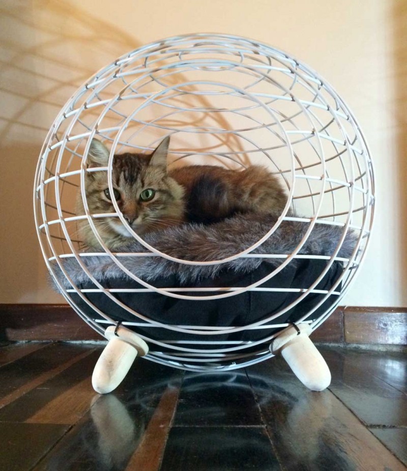 Cat Bed лордом Paw