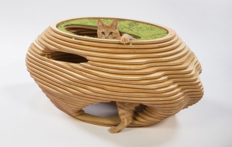 Cat Bowl укрытие от Абрамсон Teiger архитекторов